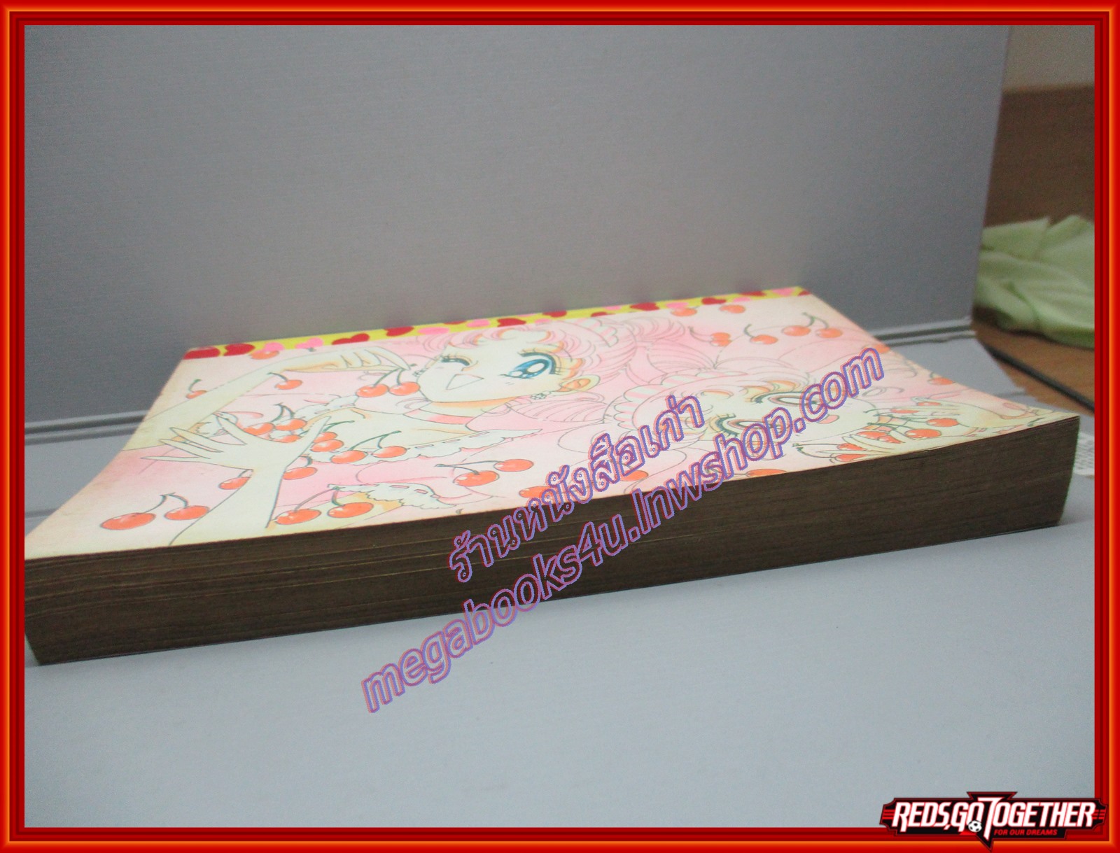 การ์ตูนบ้าน LOVE LOVE เลิฟ เลิฟ เล่มเดียวจบ โดย SAITO CHIHO สนพ.หมึกจีน