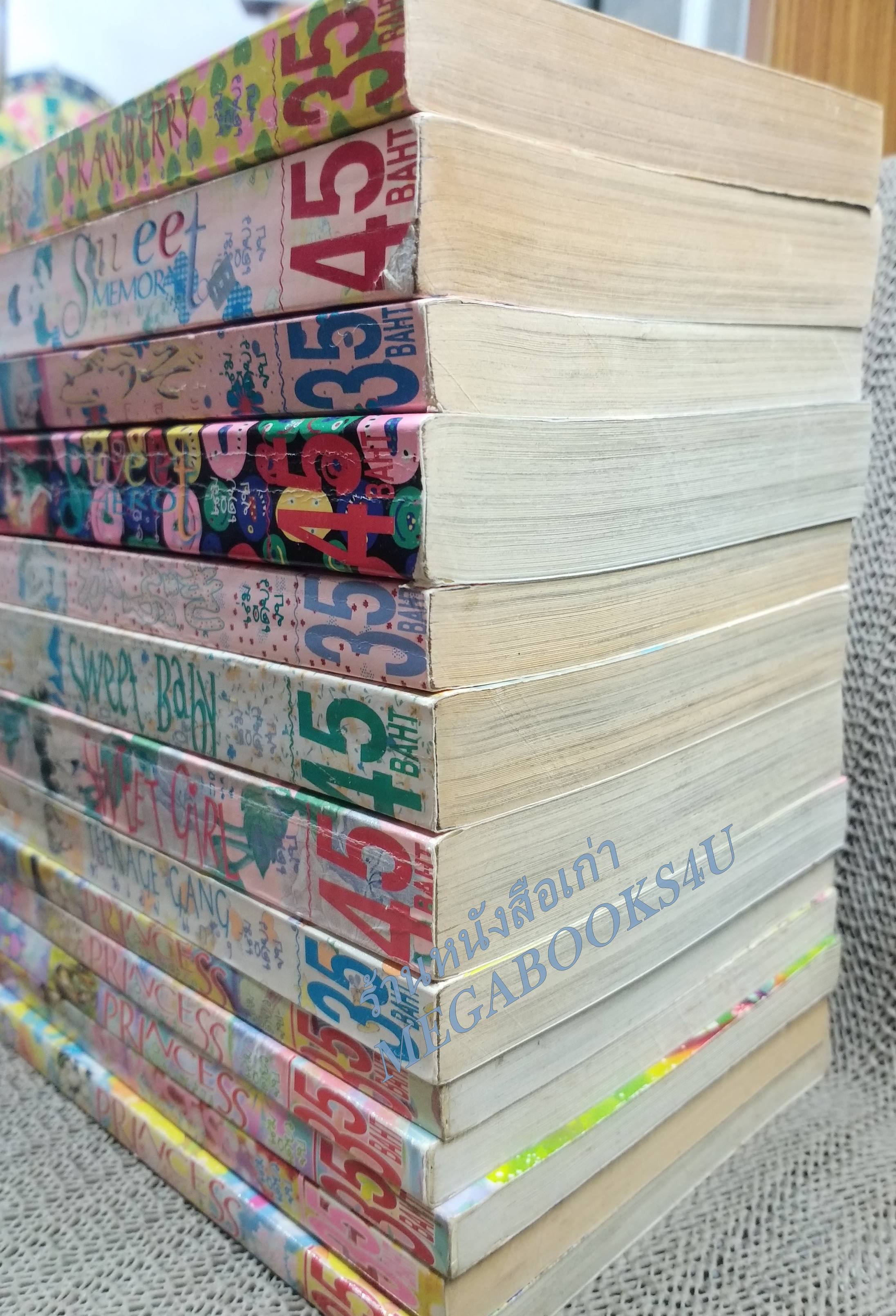 PRINCESS พรินเซส 111 เล่มเดียวจบ สนพ.หมึกจีน