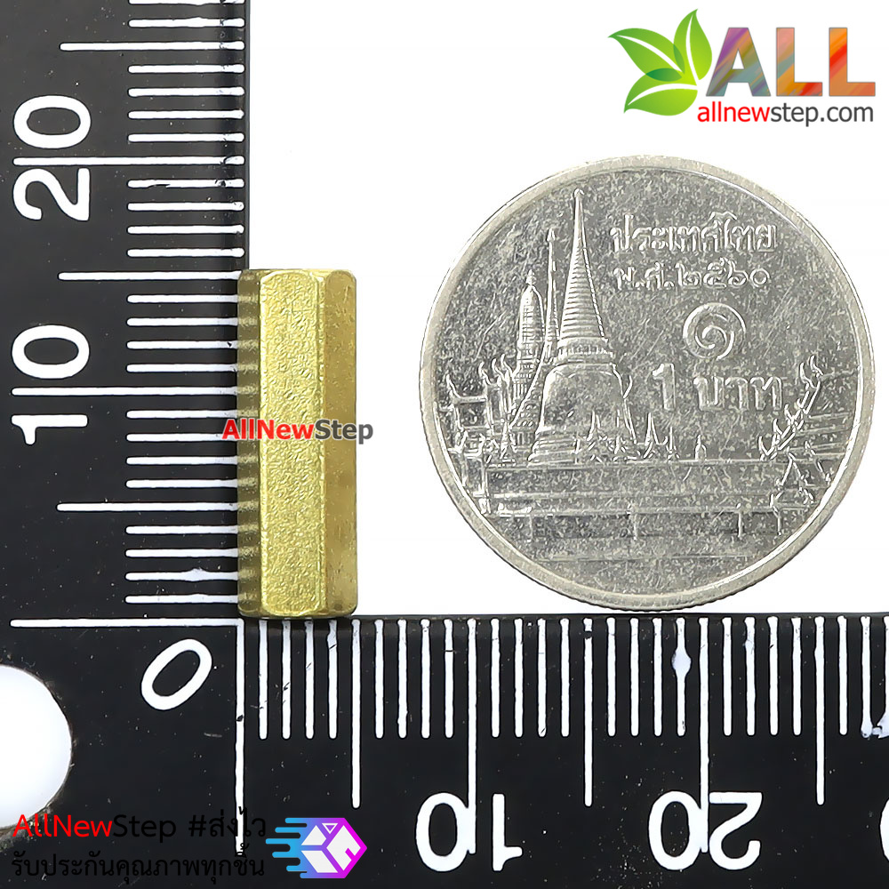 น็อต M2.5 ขนาด 15mm