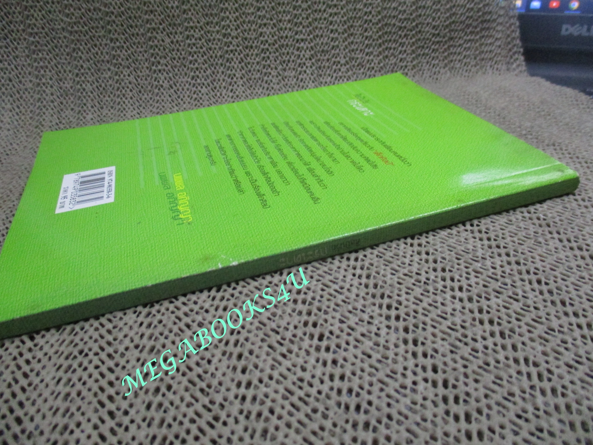 ศิลปินวัยกระเตาะ / นพพล อภิญญา