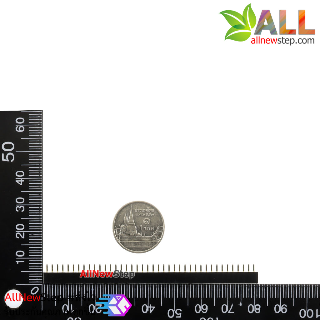 1X40P 2.0mm pitch single row female single row female connector female ตัวเมีย