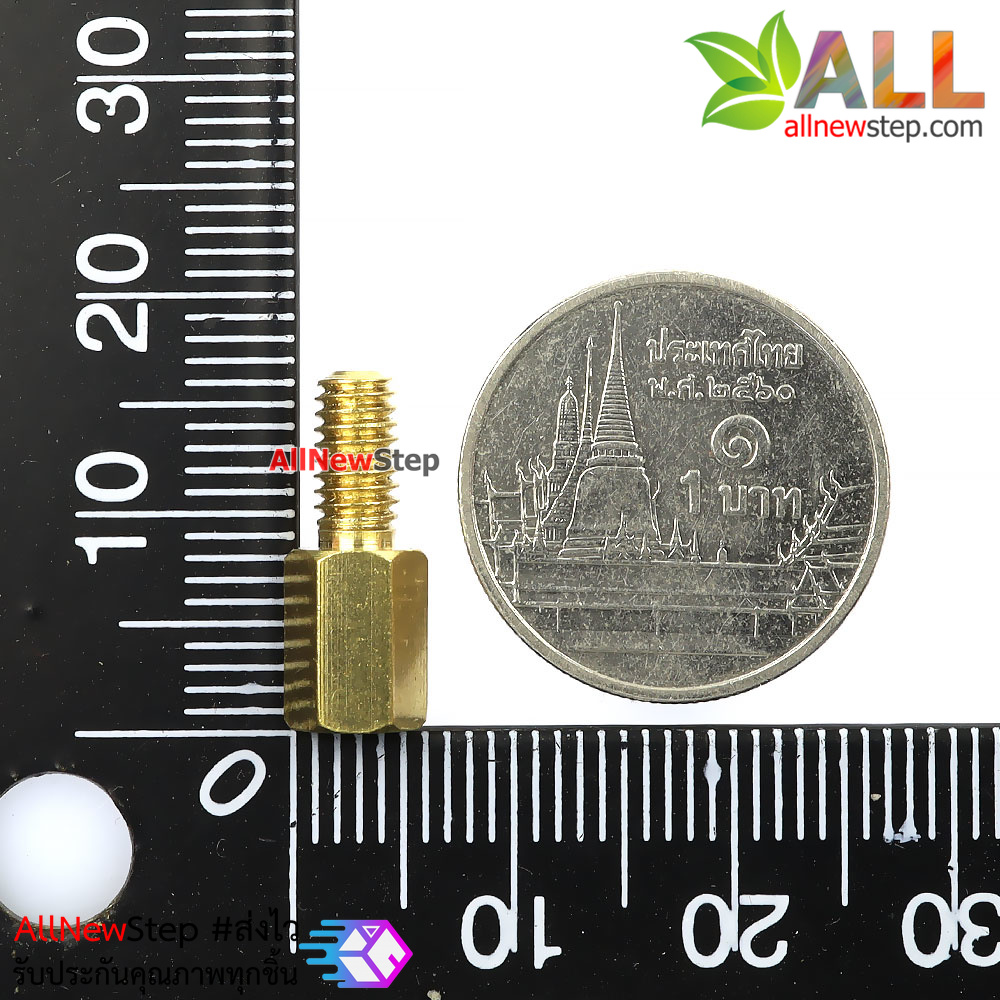 น็อตทอเหลือง ขนาด M4 8+8