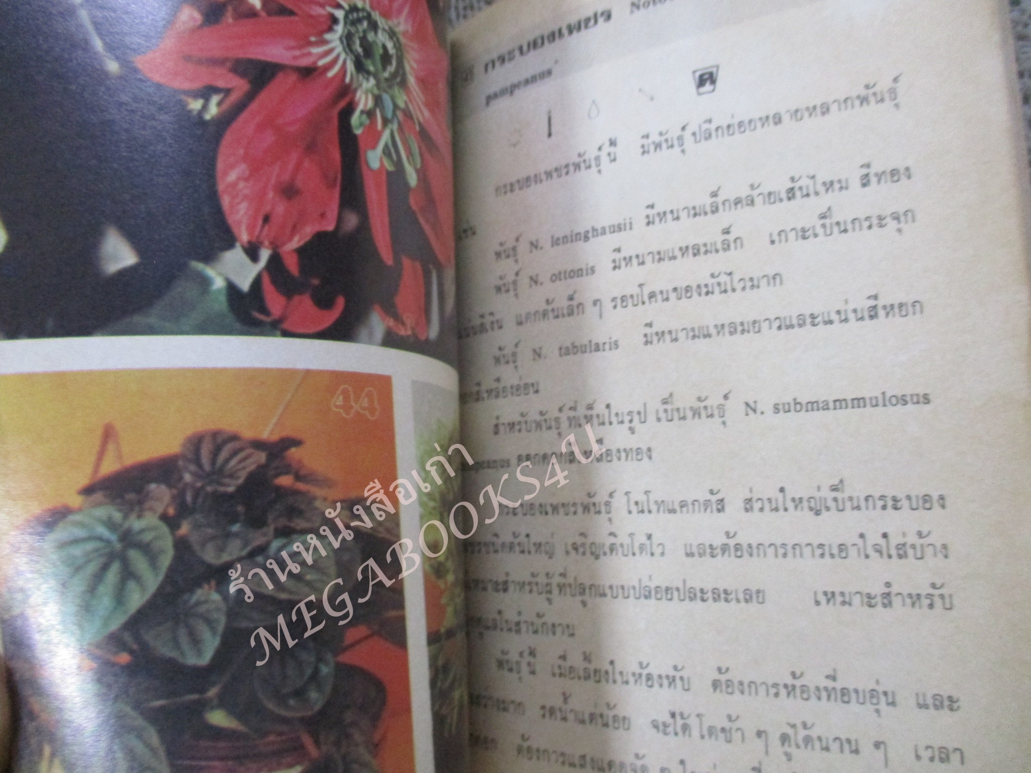 พันธ์ไม้ในบ้าน+พันธ์ไม้รอบบ้าน รวม4เล่ม