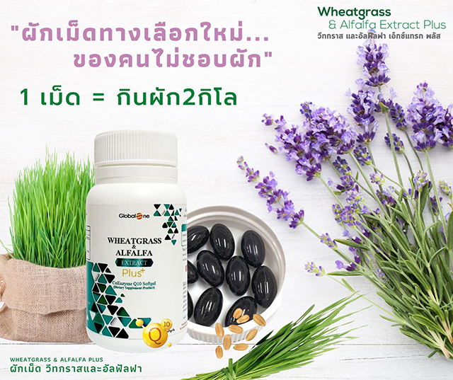 ผักเม็ด โฉมใหม่ Globalone Wheatgrass & Alfalfa Extract Plus 
