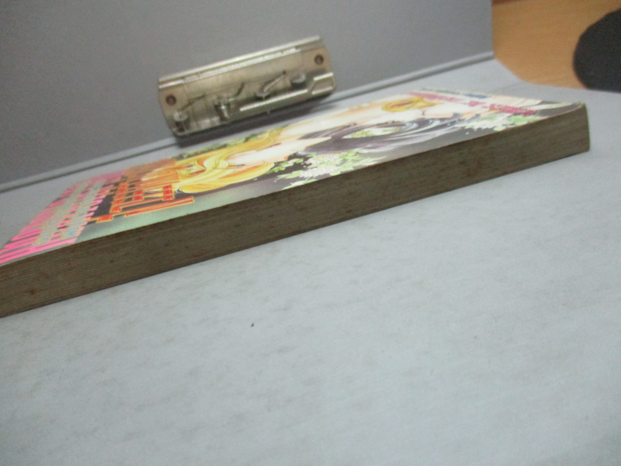 การ์ตูนบ้าน ที่หมายมั่นคือดารา เล่ม1 (2เล่มจบ) โดย*** สนพ.NEW PROJECT