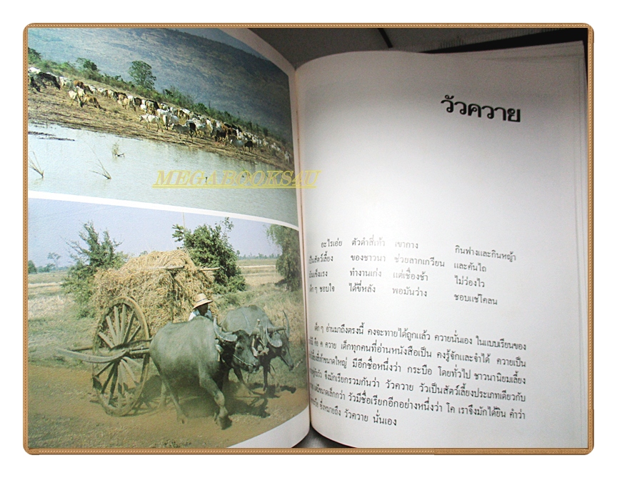 สารานุกรมไทยสำหรับเยาวชน เล่ม03 โดยพระราชประสงค์ในพระบาทสมเด็จพระเจ้าอยู่หัว
