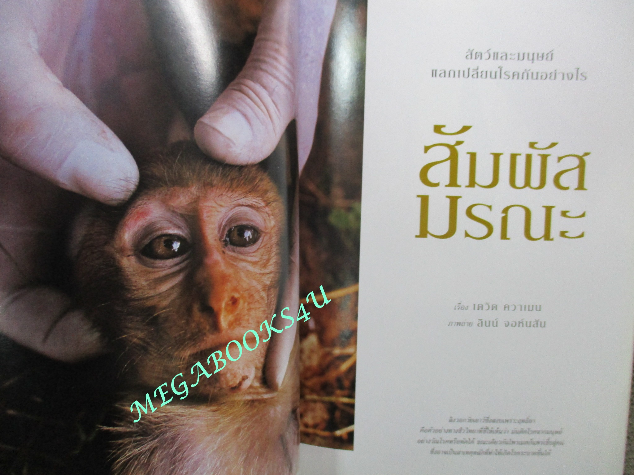 นิตยสาร เนชั่นแนลจีโอกราฟิก National Geographic ฉบับ075 2550 บุญงานวัด, วิกฤติพลังงาน