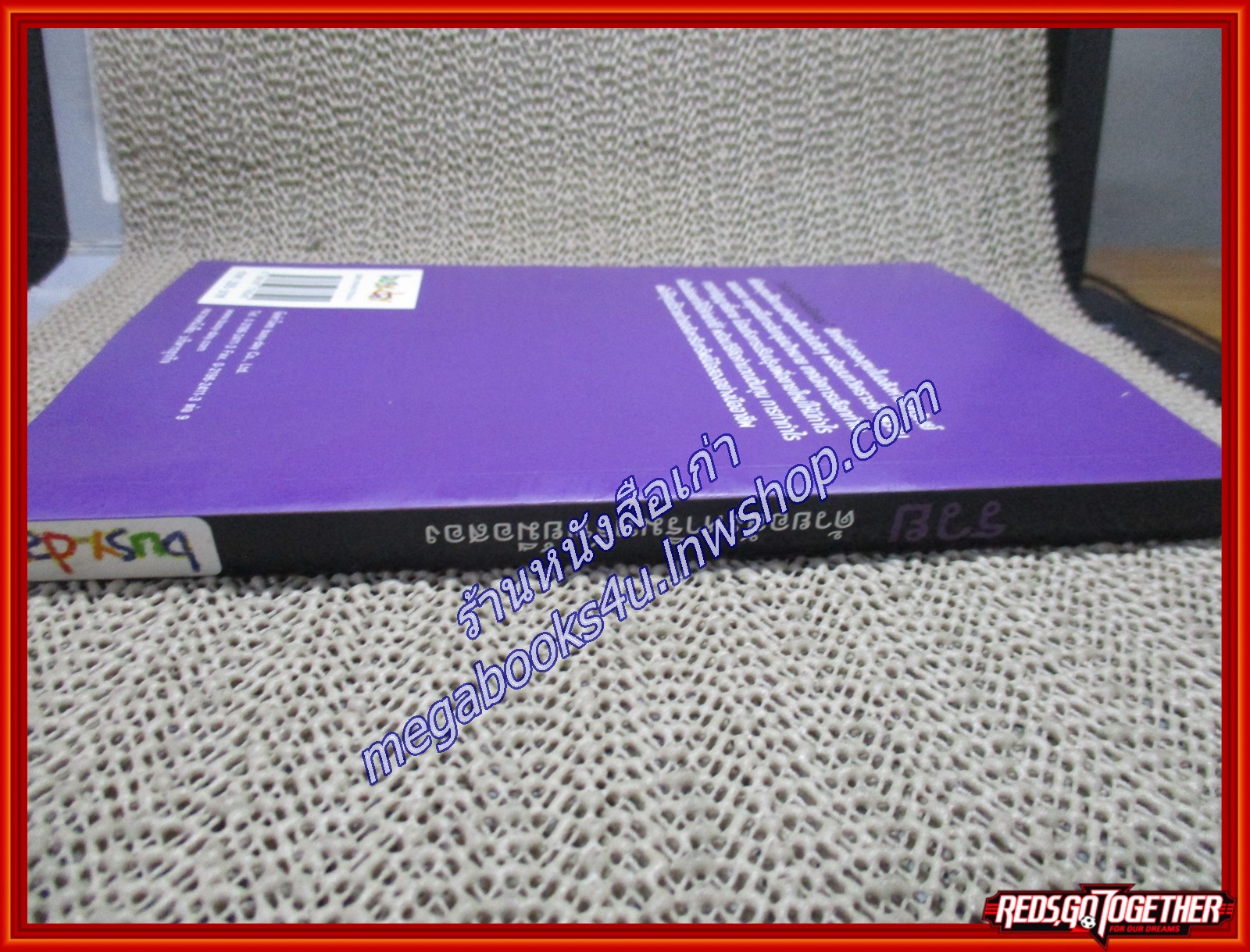 รวยด้วยอสังหาริมทรัพย์มือสอง/สุธีกานต์ สถิตคุณ/BUSY DAY