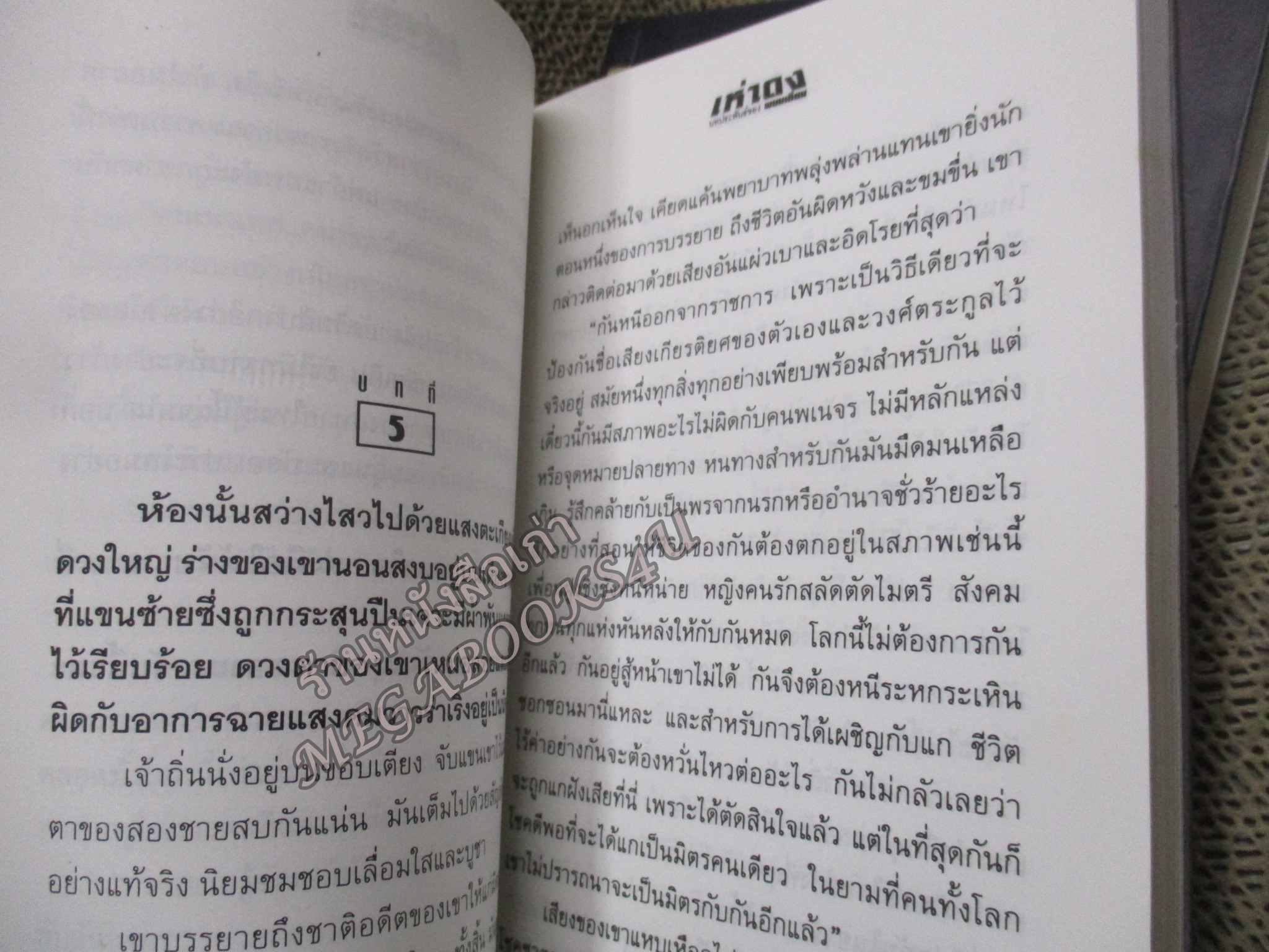 เห่าดง (2เล่มจบครบชุด) / พนมเทียน / บ้านวรรณกรรม