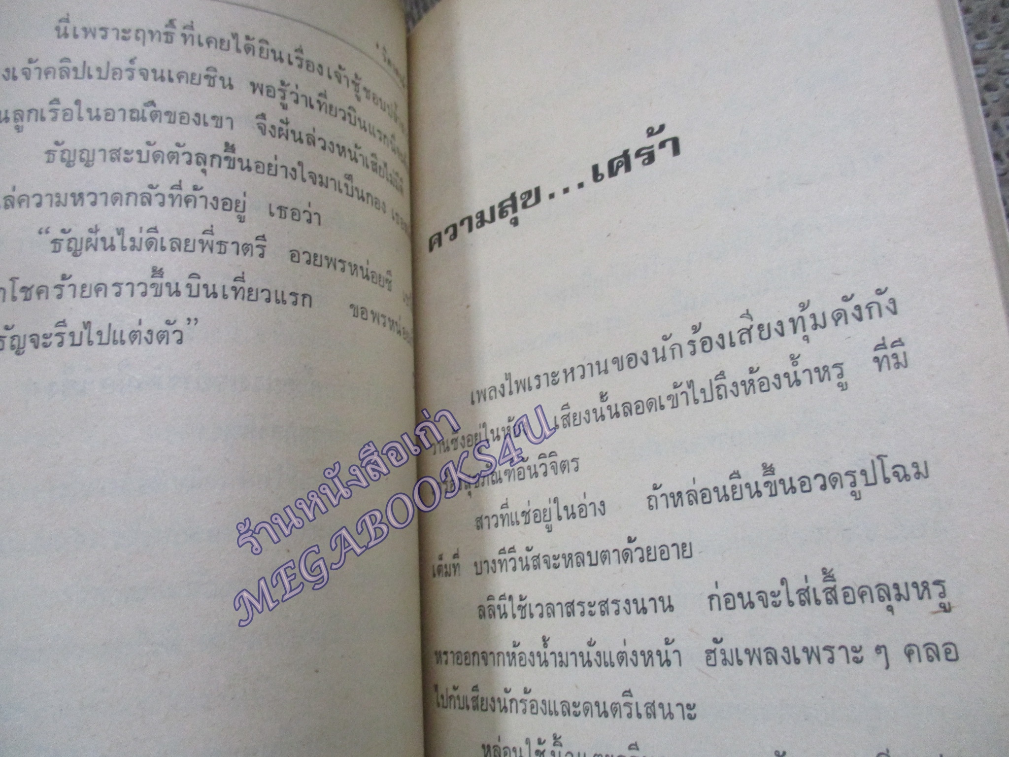 เสน่ห์นางฟ้า / วิภาภรณ์ (แอร์โฮสเตส)