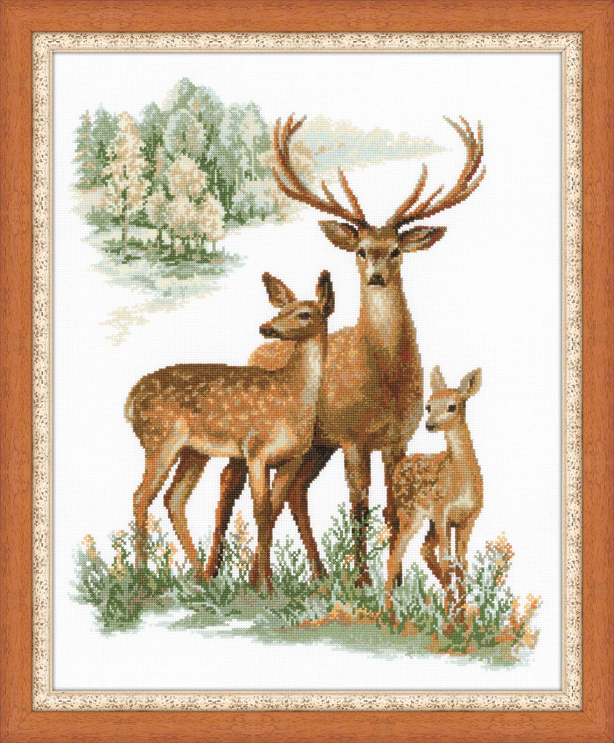 Riolis Deers