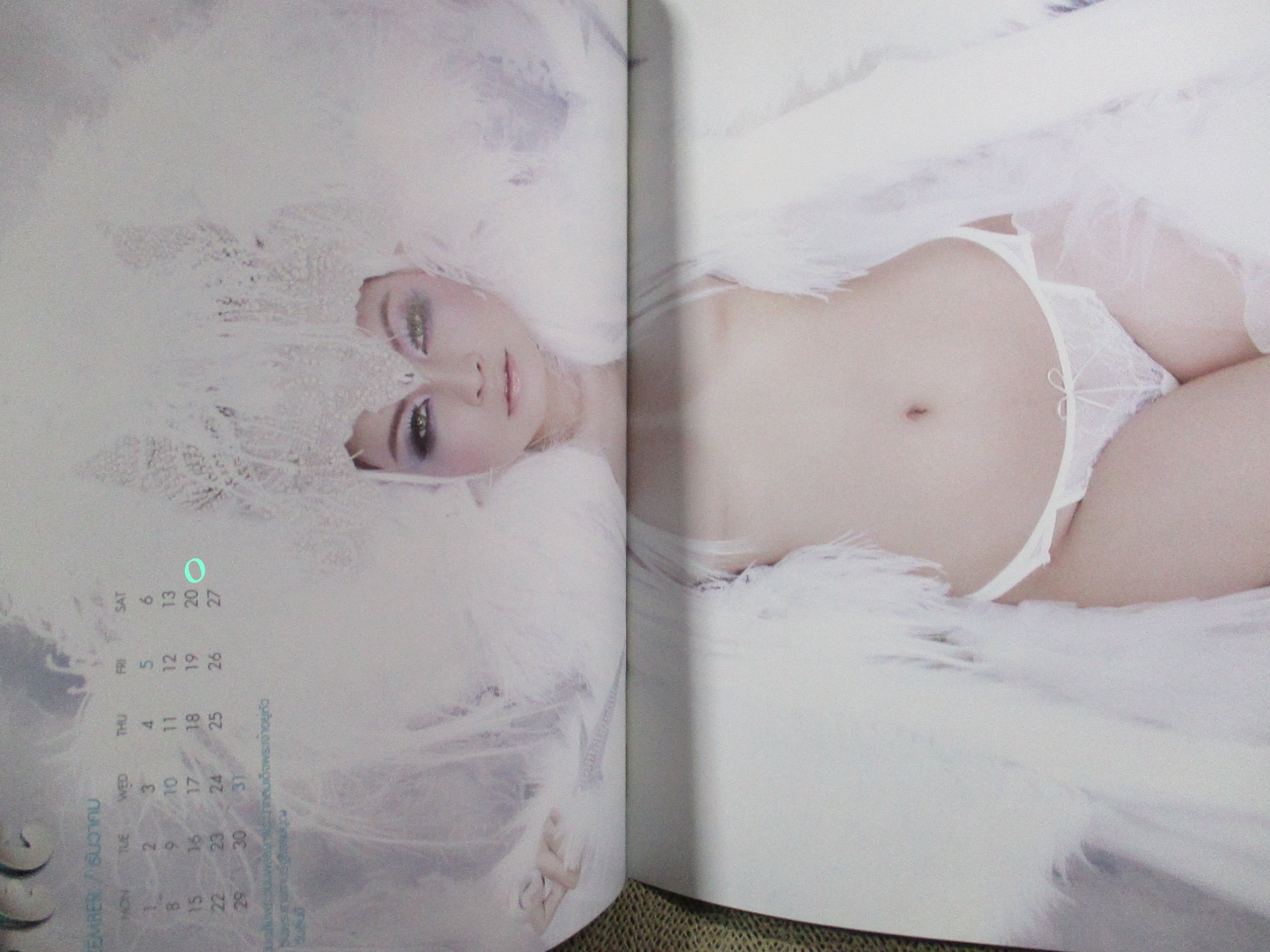 นิตยสาร W MAGAZINE CALENDAR 2014 12เดือน 24 แผ่น