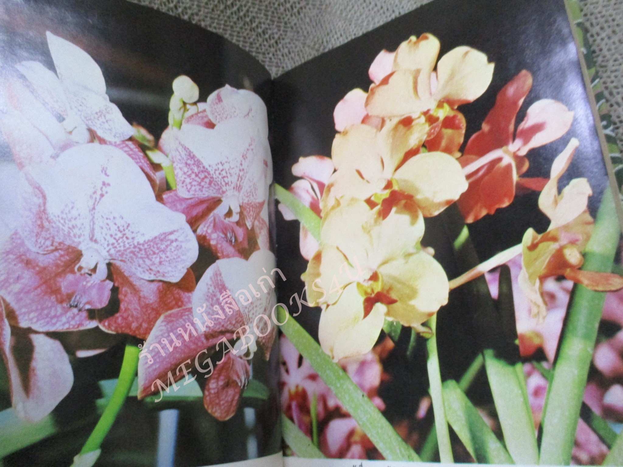 สมุดบันทึก DIARY 1971 ปี2514 มีสถานที่สำคัญทุกวันที่ มีภาพสีพระราชวงศ์ กล้วยไม้ (ไม่ได้ใช้)