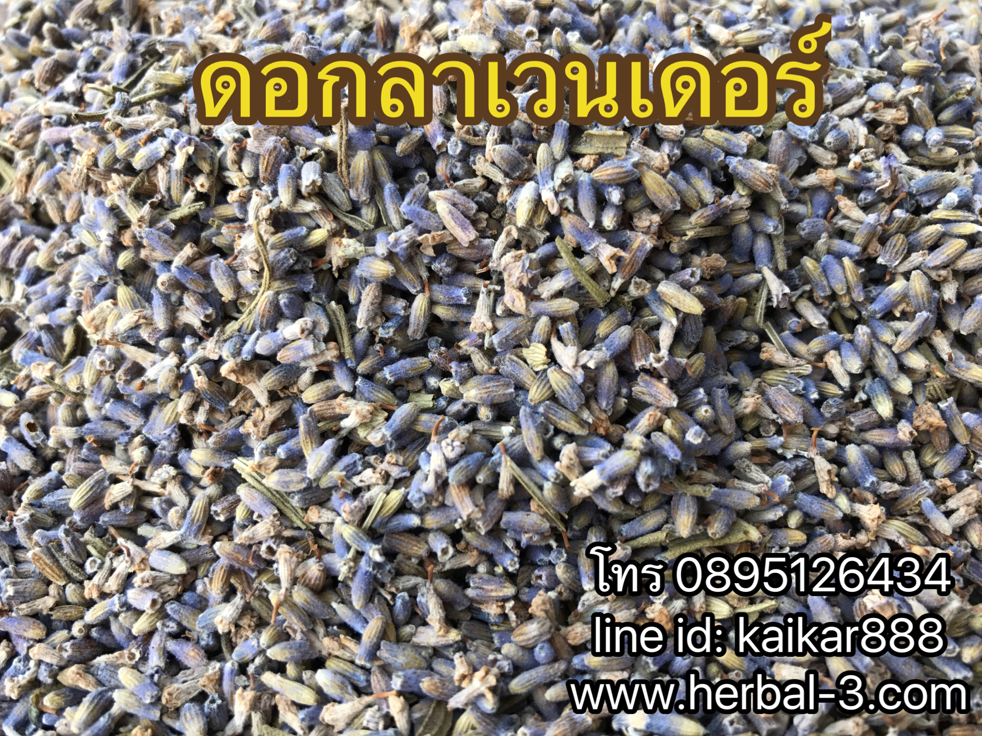 ดอกลาเวนเดอร์อบแห้ง (กิโล)