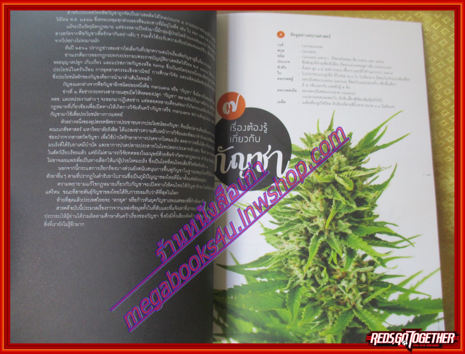 นิตยสารสารคดี ฉบับที่404 ปี2561 กัญชารักษาโรค