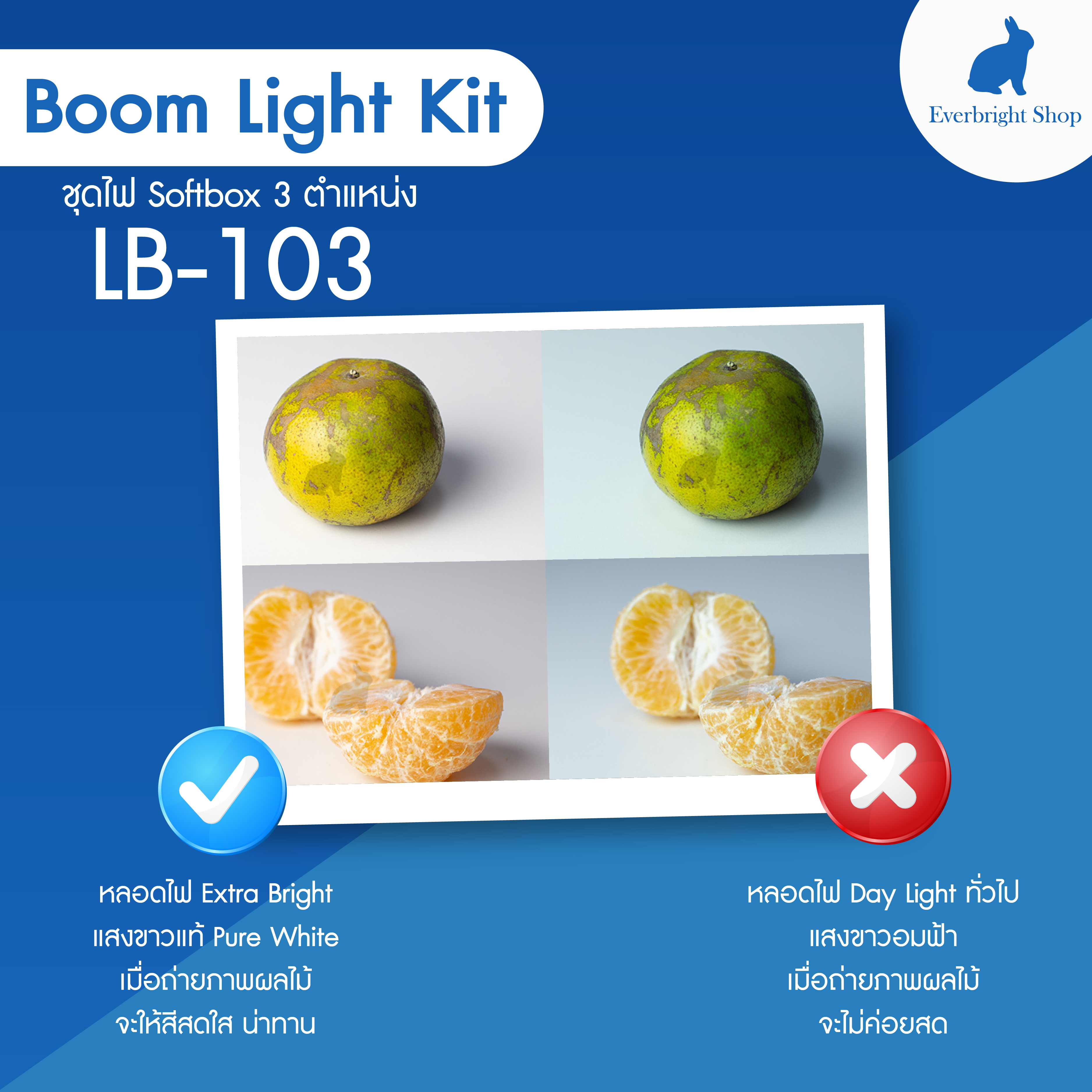 LB-103 Boom LightKit max 3 bulbs ชุดไฟสตูดิโอถ่ายรูป Softbox 3 โคม ถ่ายภาพสินค้า บุคคล ติดบัตร ไลฟ์สด วิดีโอ รีวิว ไฟต่อเนื่อง