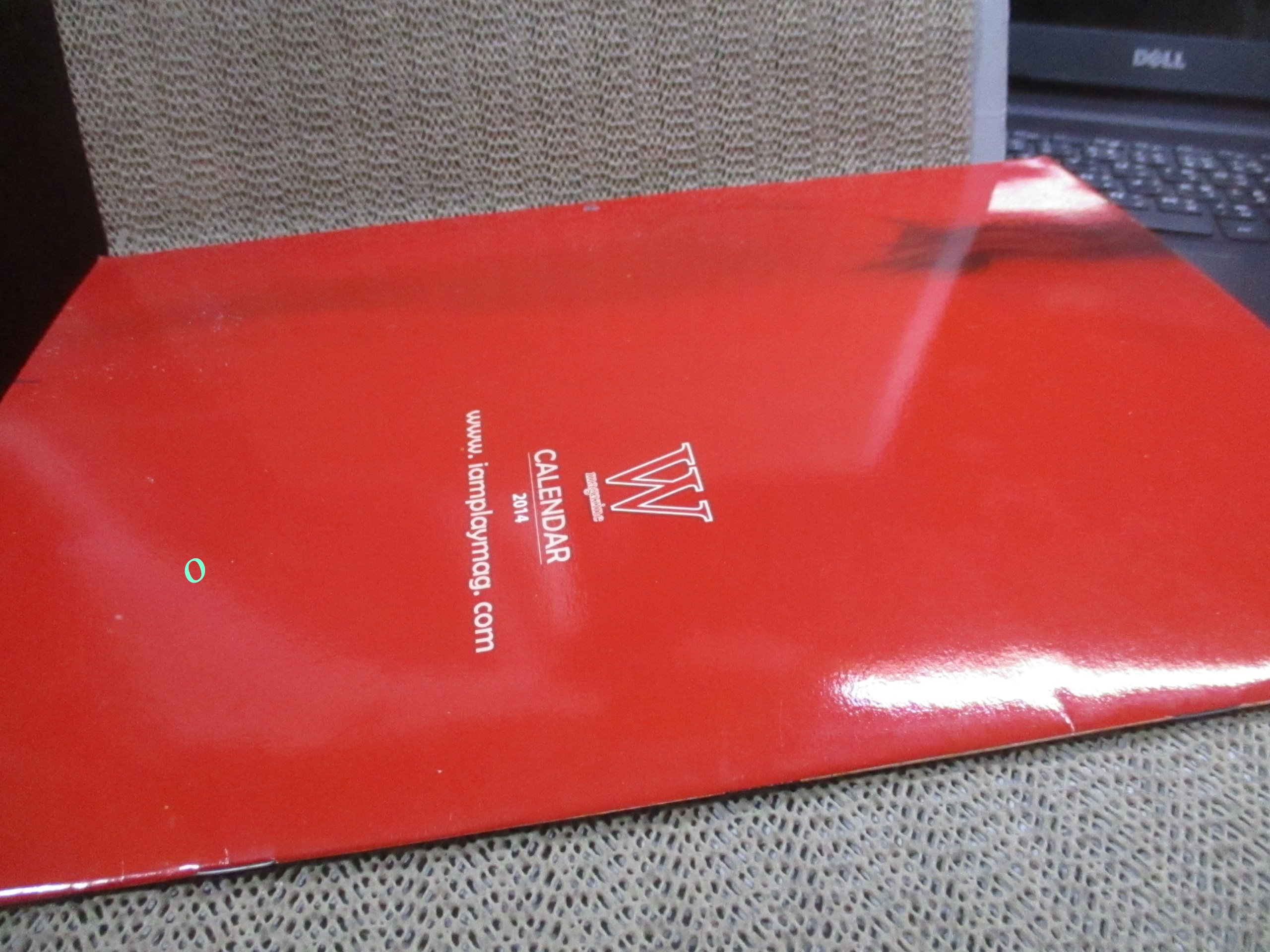 นิตยสาร W MAGAZINE CALENDAR 2014 12เดือน 24 แผ่น