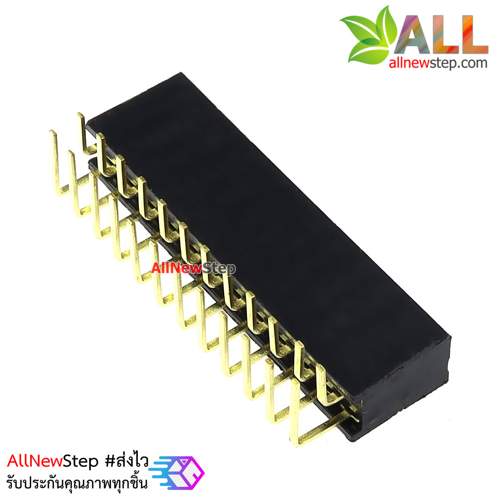 ขาก้างปลาตัวเมียแบบฉาก 2x12 ขา Double Row Hole Jack 2x12PIN Header 2.54mm