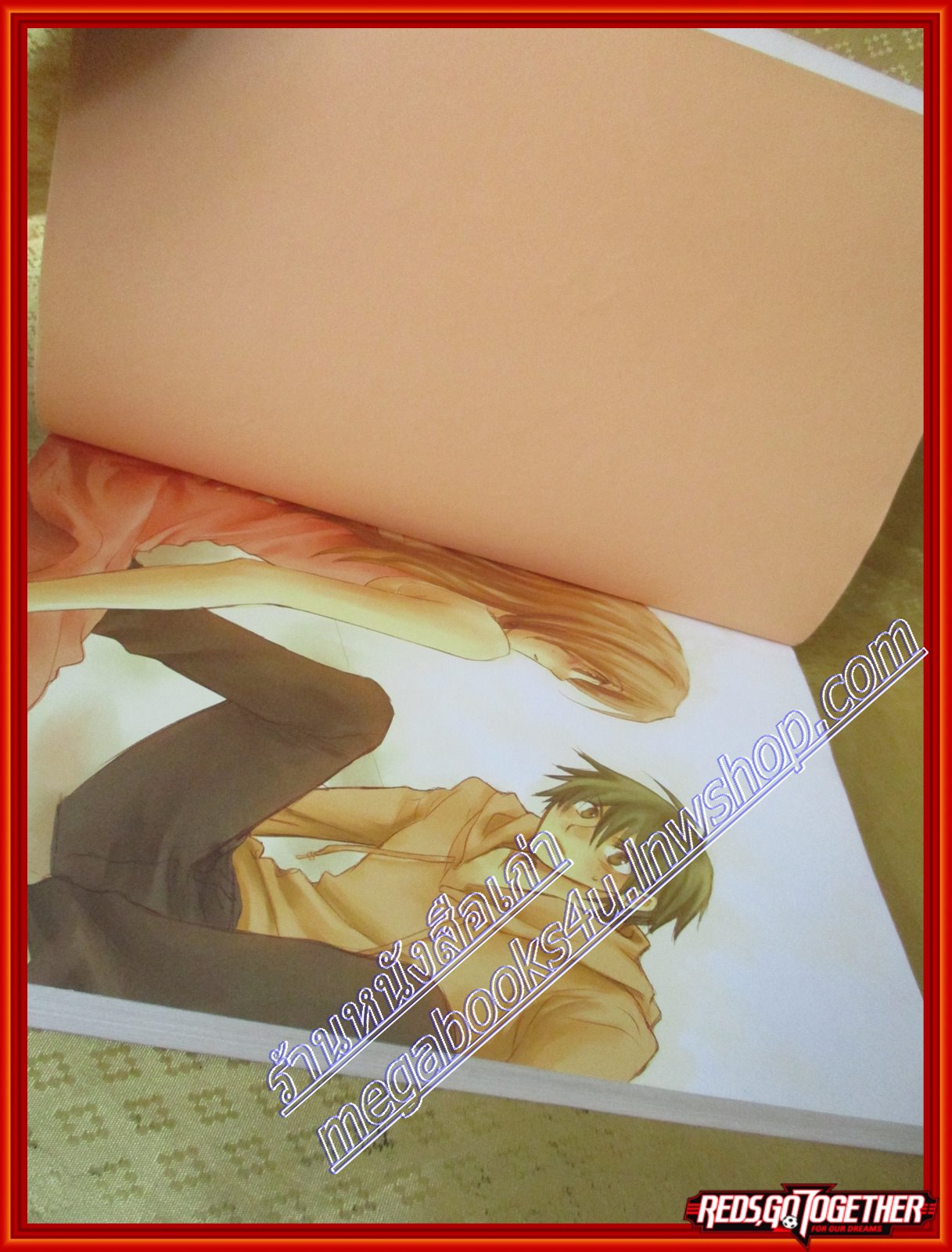 ขอรักเธออีกสักครั้งจะได้ไหม โซเฟีย (มือสอง) (สภาพ85-95%)