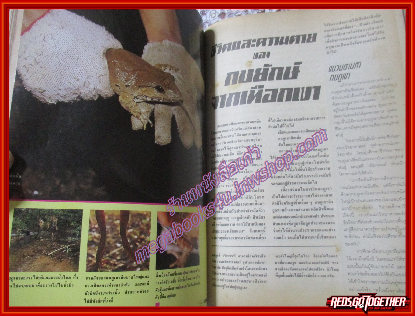 นิตยสารสารคดี ฉบับที่050 2532 รีคอน หุ่นขี้ผึ้ง กบภูเขา