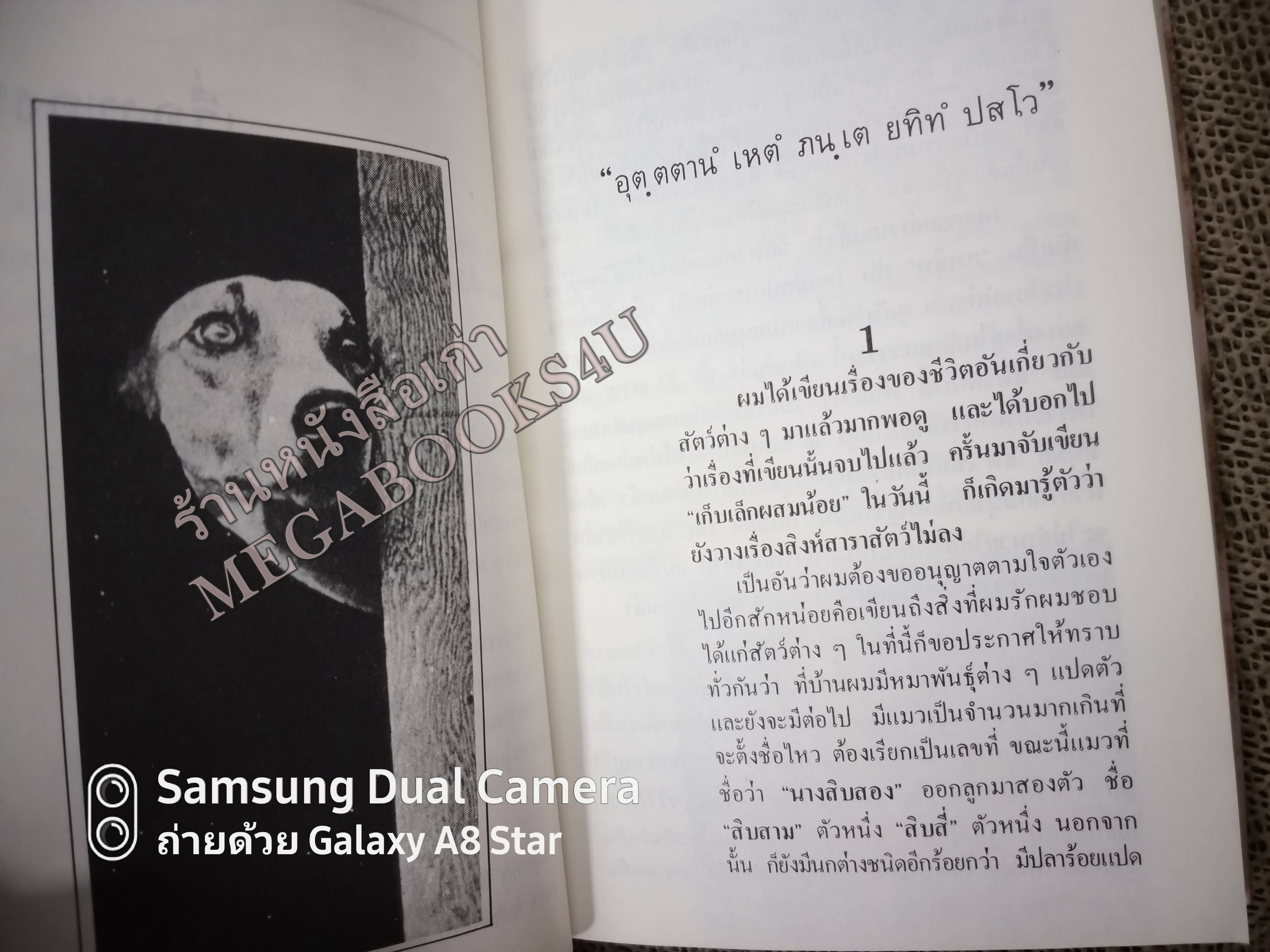 เรื่องของคนรักหมา โดย ม.ร.ว.คึกฤทธิ์ ปราโมช สนพ.สยามรัฐ (มือสอง) (สภาพ85-95%) หน้าปกมีรอยเปื้อน
