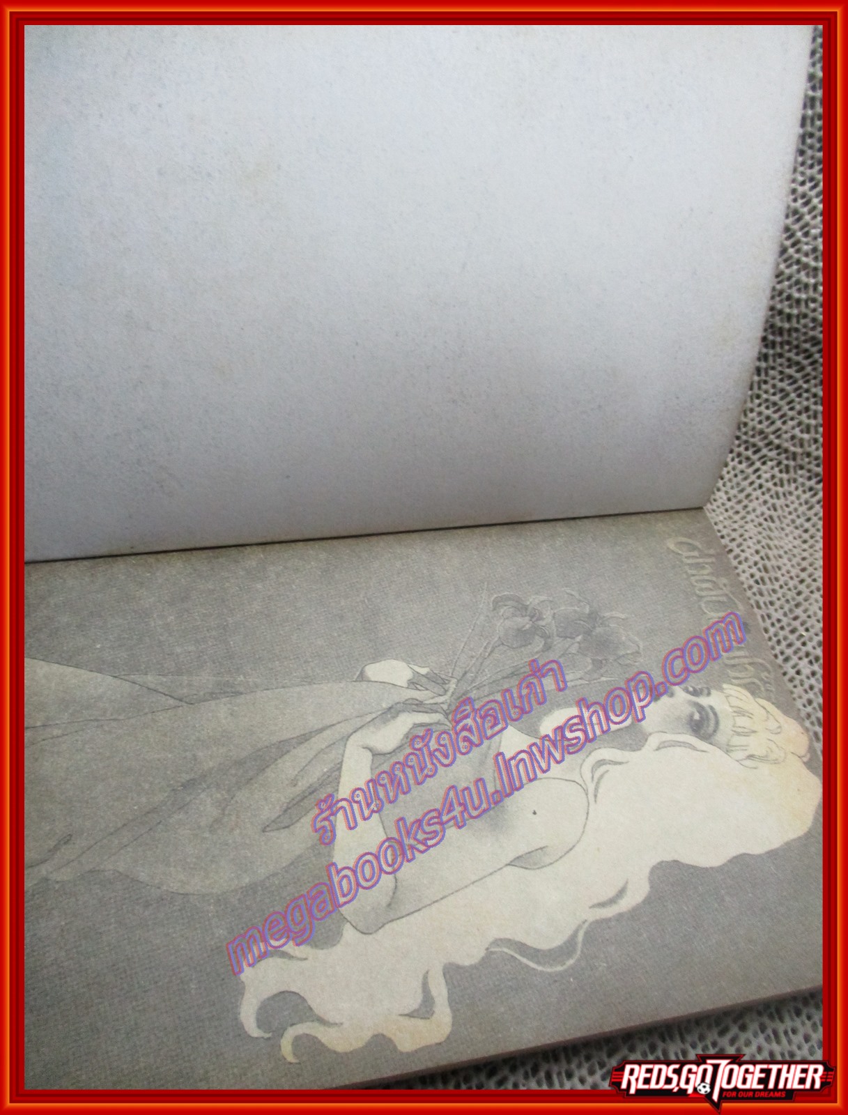 การ์ตูนบ้าน ฝ่าฝันสู่ฟากฟ้า โดย FUYUMI OGURA เล่มเดียวจบ