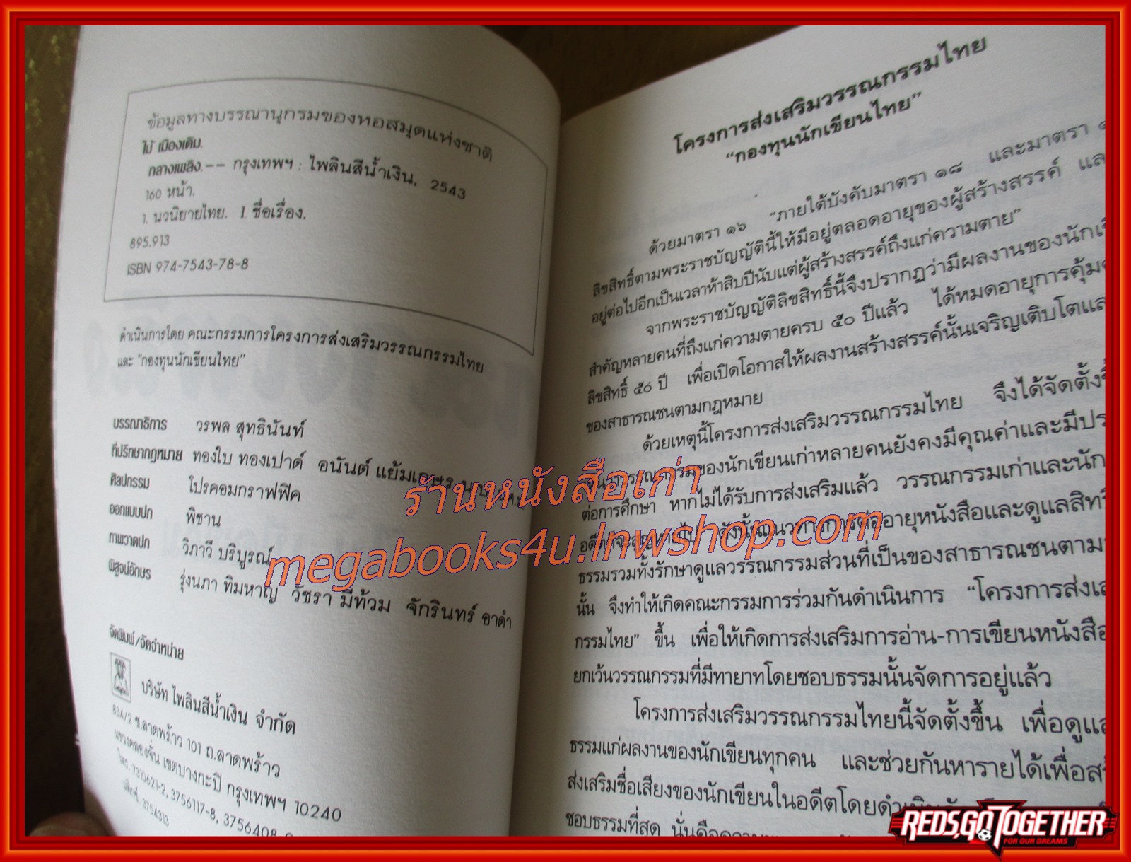กลางเพลิง /ไม้ เมืองเดิม / สนพ. ไพลิน