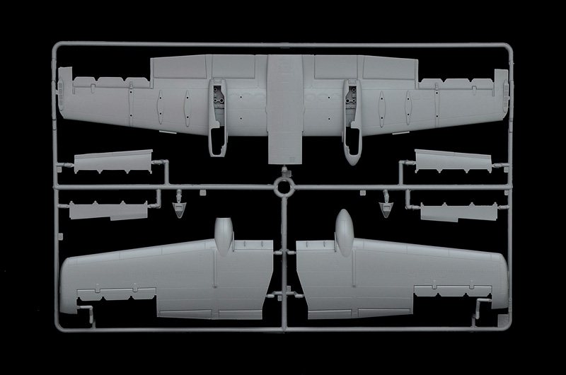 1/48 A - 10C ''Blacksnackes''