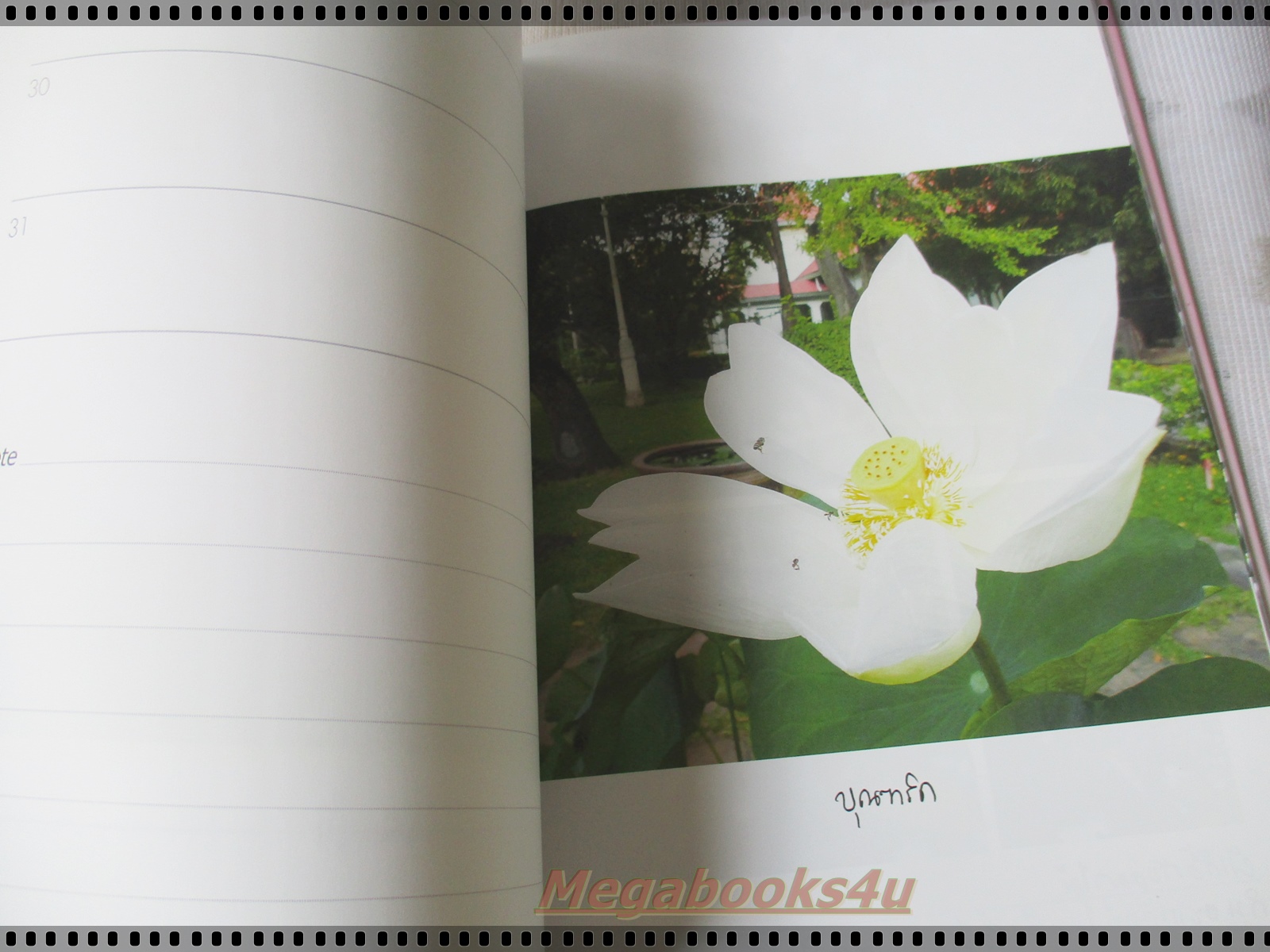 ในร่มเงาวังสระปทุม (ปกแข็งพร้อมกล่อง) ภาพถ่ายฝีพระหัตถ์สมเด็จพระเทพรัตนราชสุดาฯ สยามบรมราชกุมารี