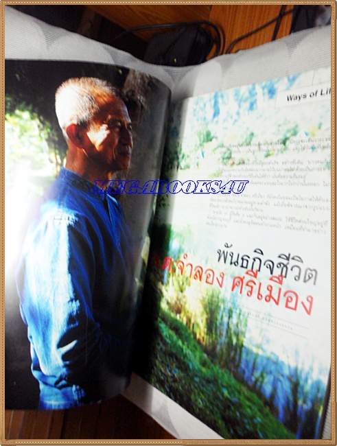 ขายแล้วครับ) นิตยสารGM,NO.293,VOL.19 AUG.2004,สัมภาษณ์ปราบดา หยุ่น สภาพดี