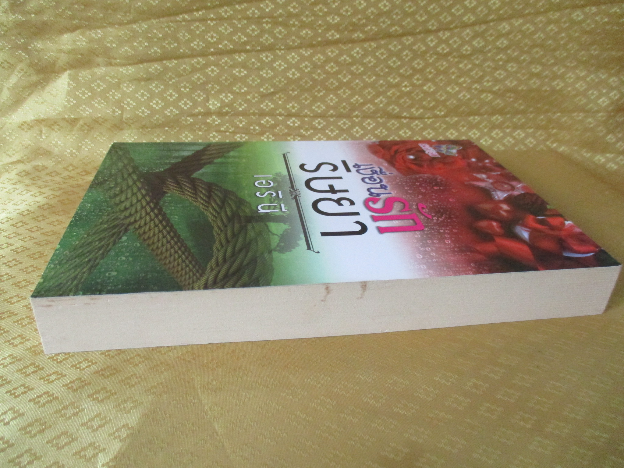 เงื่อนรักริษยา โดย เอรินี สำนักพิมพ์สวีทดรีม