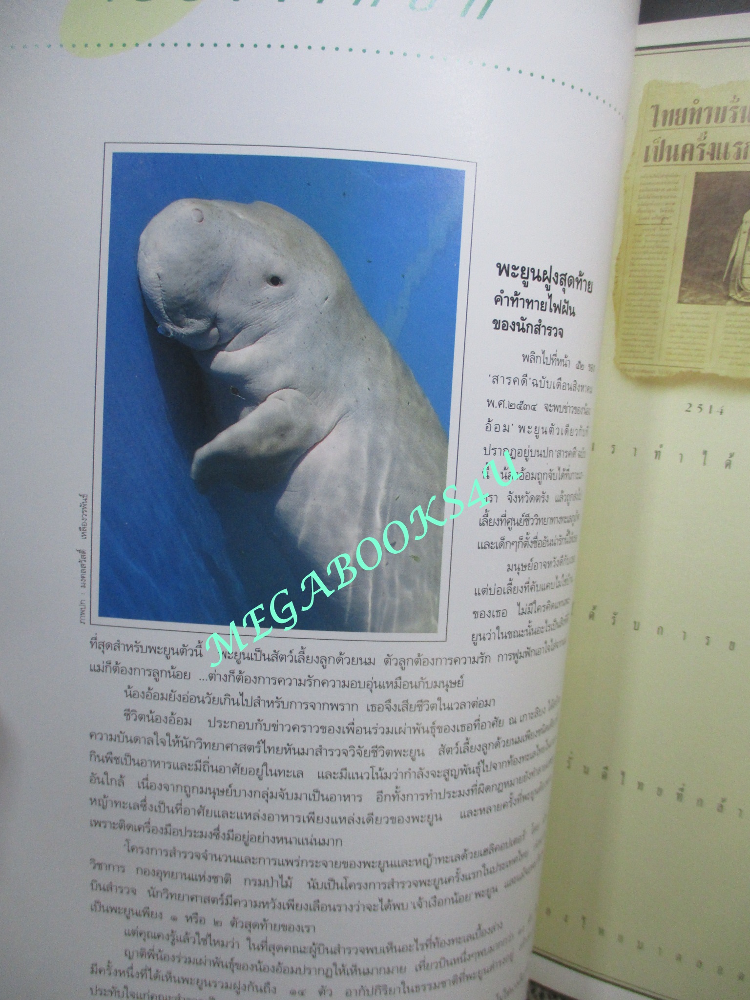 นิตยสารสารคดี ฉบับที่08 ปี2535 พะยูน พระเครื่อง ขนมจีนภาคใต้