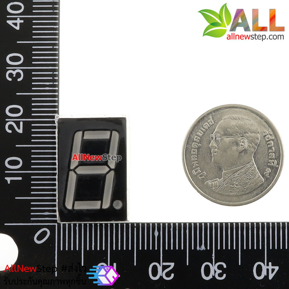 7 Segment 0.56 นิ้ว ไฟ 7 segment 0.56 1 หลัก สีแดงแบบไฟบวกร่วม 41056W8U3A