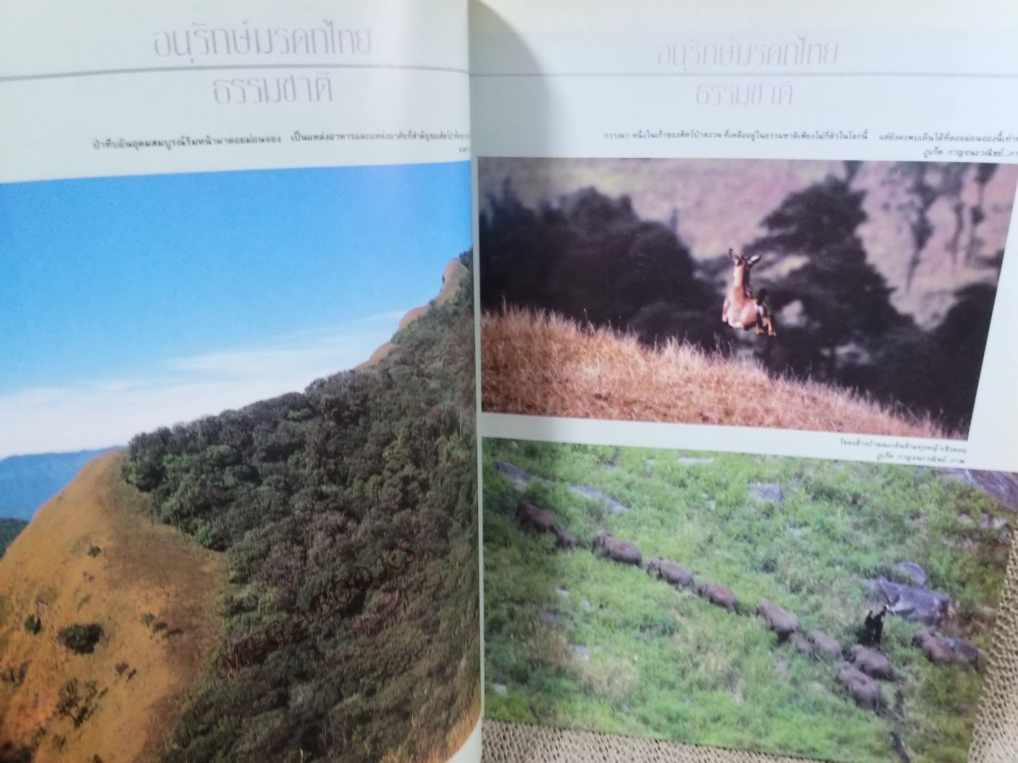 อนุสาร อ.ส.ท. ปี32 ส.ค.2534 กุดนาขาม ในยาง เกาะมัน