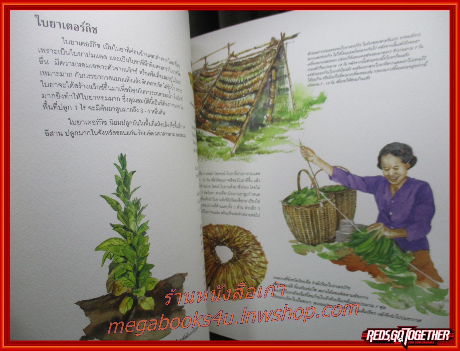 หนังสือภาพวาดสีน้ำมัน ศาสตร์และศิลป์ ของ ยาสูบไทย ด้วยภาพวาดสีน้ำมันที่งดงาม วาระครบรอบ 75 ปี ยาสูบไทย