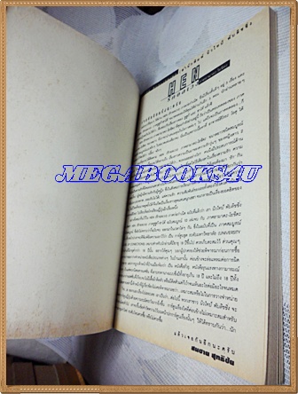 HEN ภาคยามาดะ โยชิดะ เล่มเดียวจบ NEWTYPE