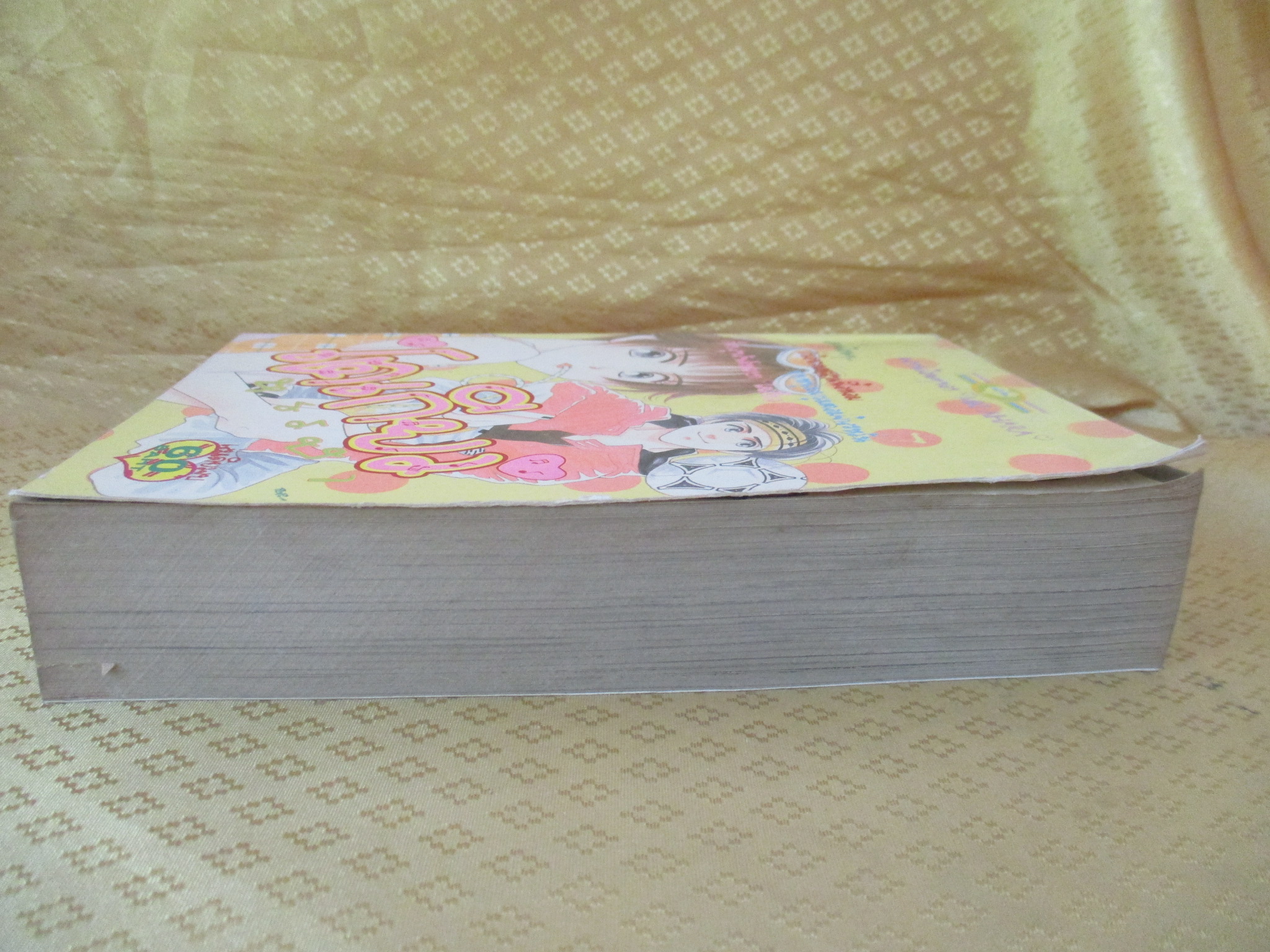 การ์ตูนบ้าน โตเกียวหรรษา เล่มเดียวจบ สนพ.หมึกจีน