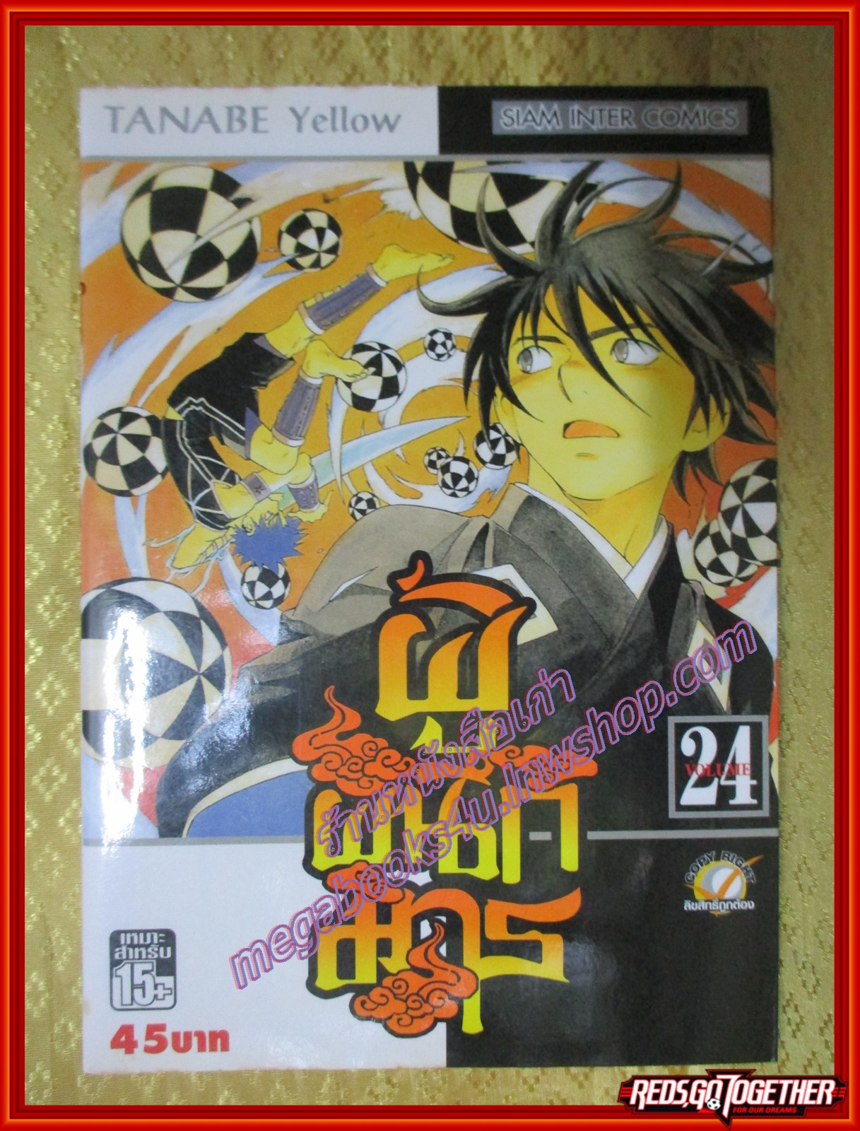 การ์ตูนบ้านแยกเล่ม ผู้ผนึกมาร เล่มที่24 โดย TANABE YELLOW สนพ.สยามฯ (35เล่มจบ)