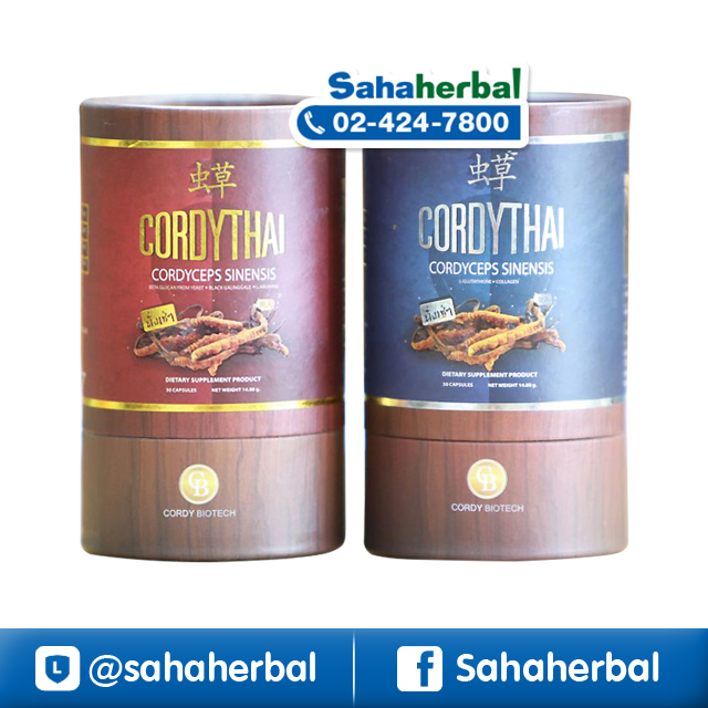 CordyThai ถั่งเช่า คอร์ดี้ไทย ราคาถูก ฟรีของแถมทุกรายการ