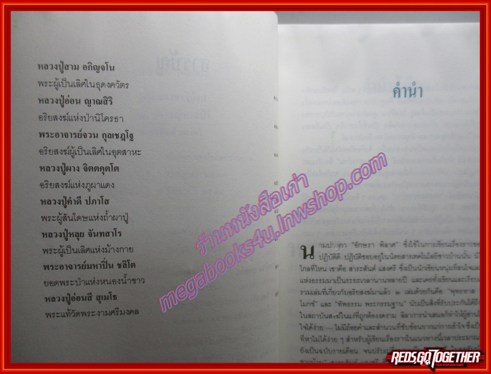 พระของชาวบ้าน 14ปราชญ์พระป่า / สาระสันต์ แสงศรี (มือสอง) (สภาพ85-95%)