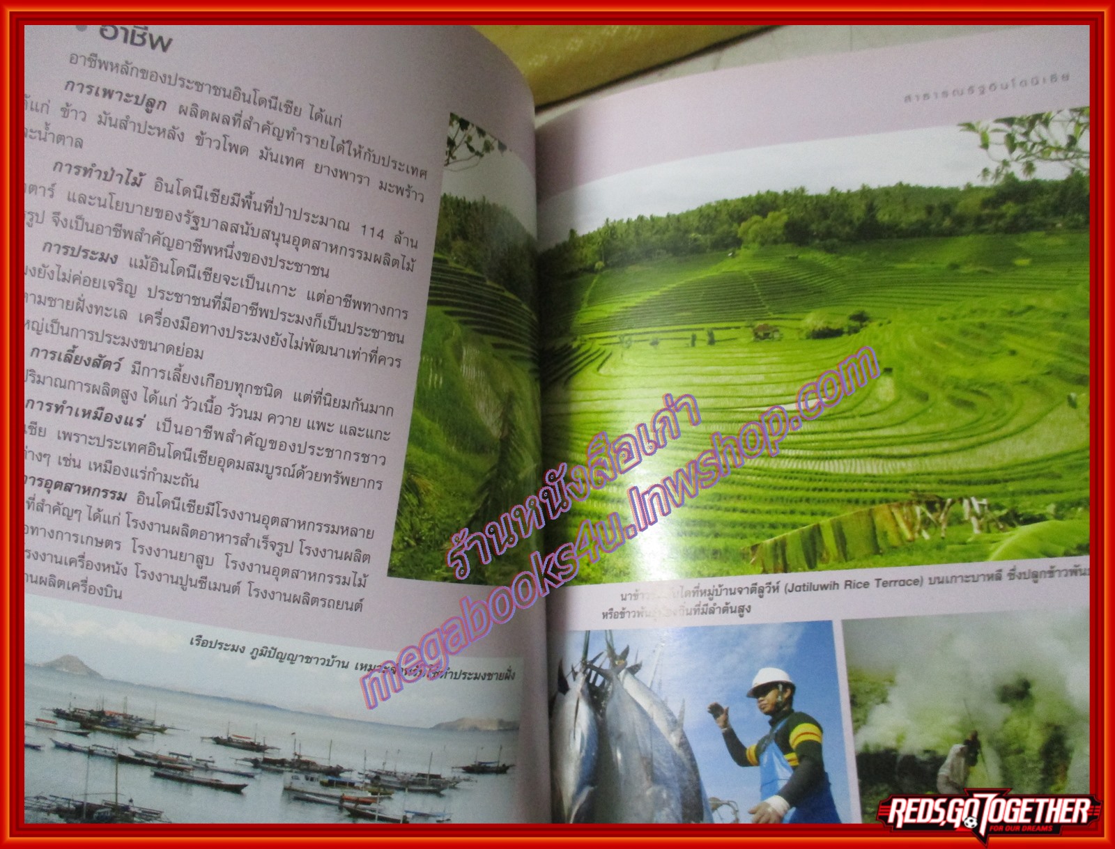 หนังสือชุดเตรียมความพร้อมสู่ประชาคมอาเซียน ประเทศอินโดนีเซีย (มือสองจากห้องสมุด) (สภาพ80-90%)