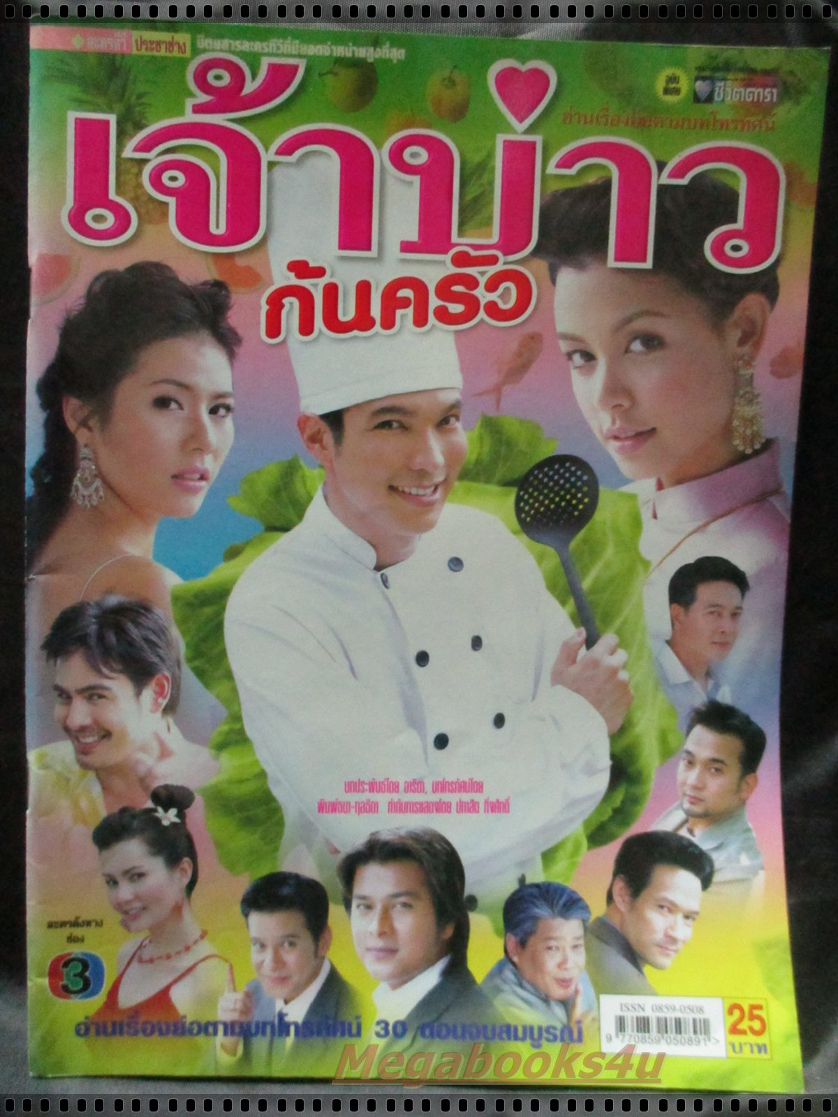 เรื่องย่อละคร เจ้าบ่าวก้นครัว โดย ณัฐริกา ธรรมปรีดานันท์ นิธิ สมุทรโคจร ปี2548 สภาพดี