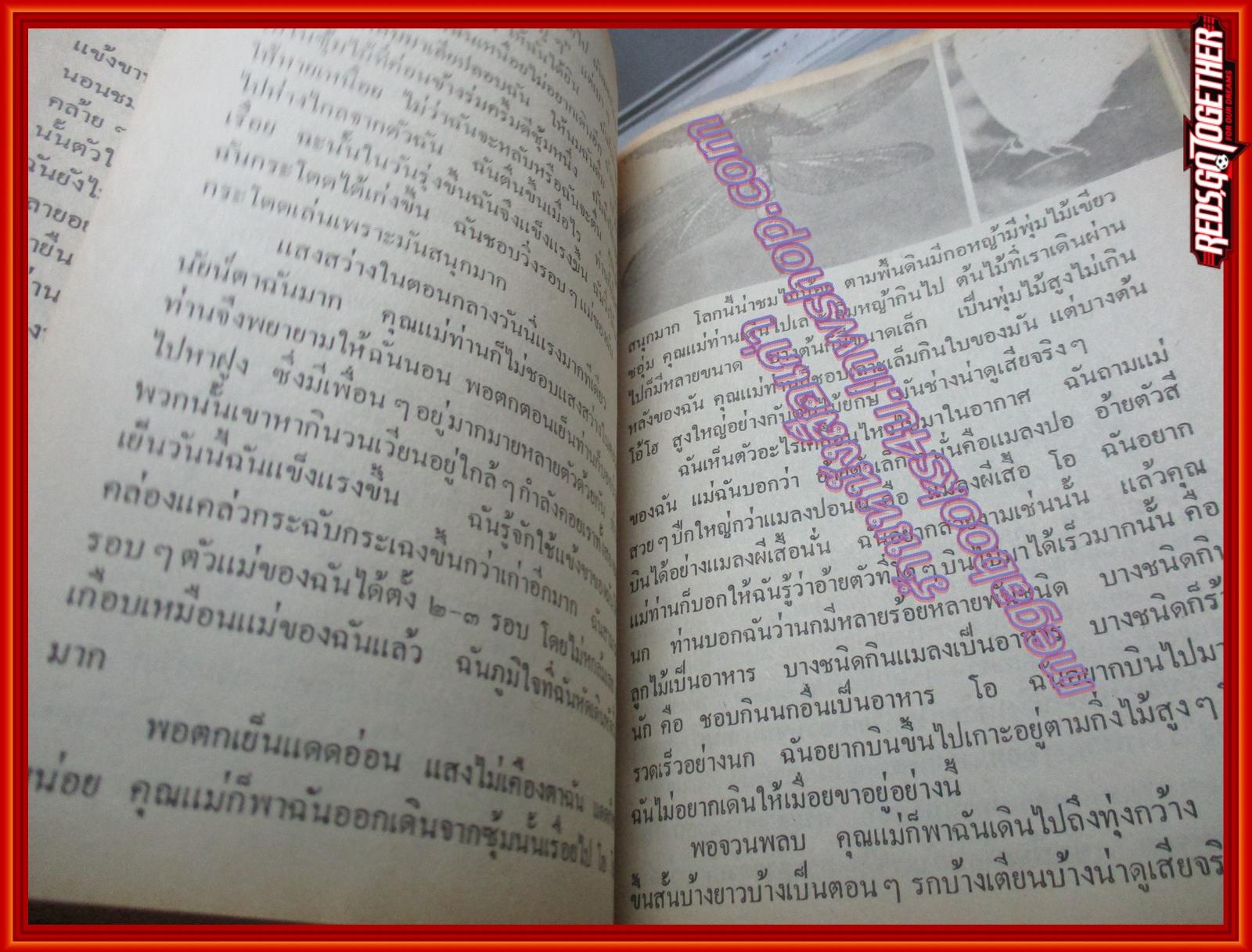 ชีวิตของฉันลูกกระทิง โดย นพ.บุญส่ง เลขะกุล หนังสือดีร้อยเล่มที่เด็กและเยาวชนไทยควรอ่าน