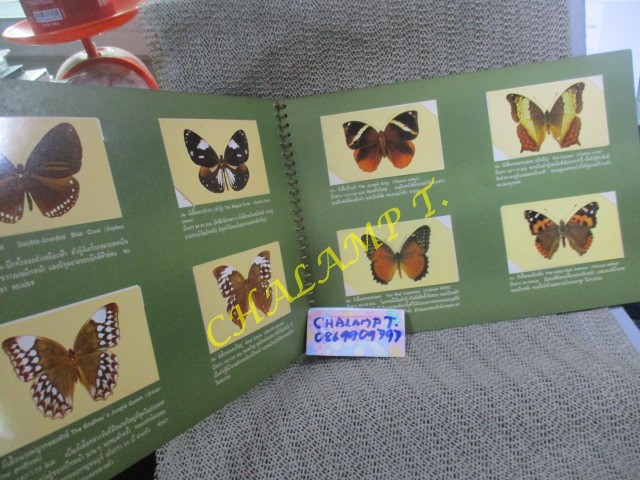 อัลบั้มสะสมรูปผีเสื้อไทย เกือบครบทุกรูป ขาด2รูปตามภาพ