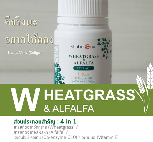 ผักเม็ด โฉมใหม่ Globalone Wheatgrass & Alfalfa Extract Plus 