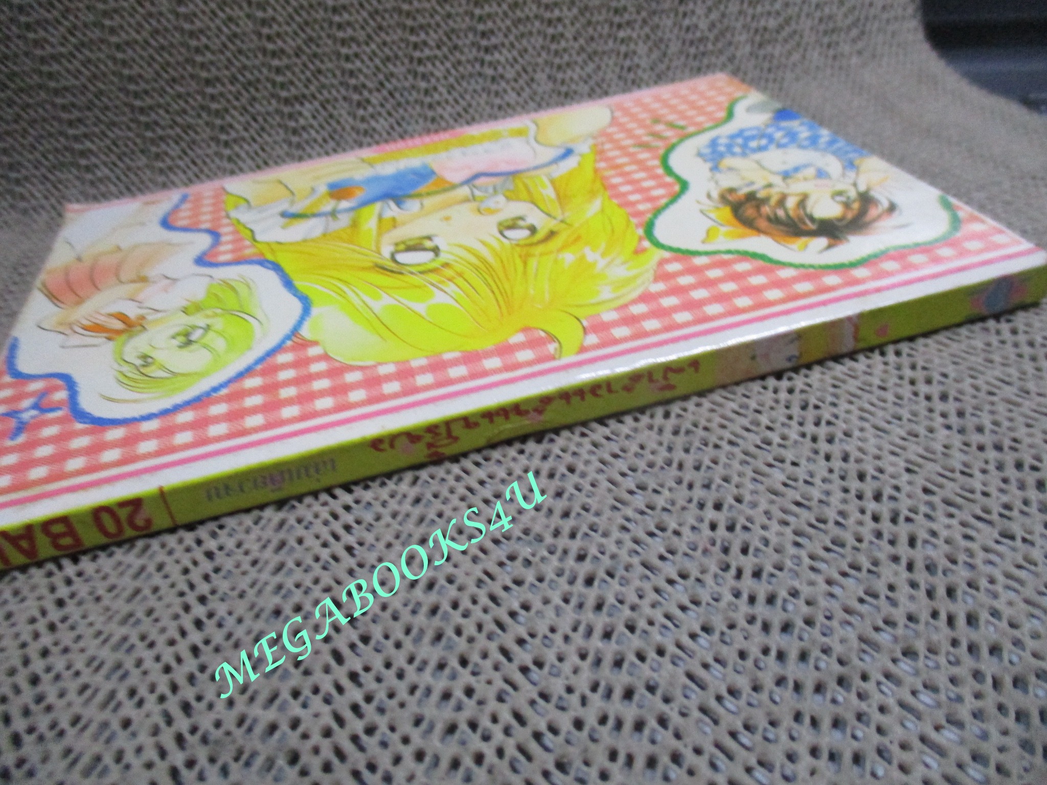 เจ้าสาวแสนเปรี้ยว / เล่มเดียวจบ / หมึกจีน /