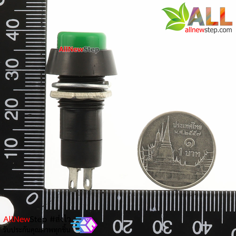 สวิตช์ กดติดปล่อยดับ reset switch 250V 3A สีเขียว