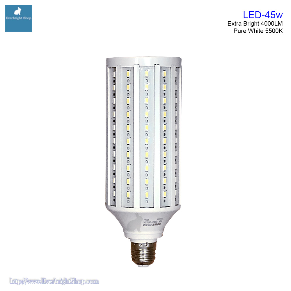 Extra Bright LED Bulb 5500K 45w