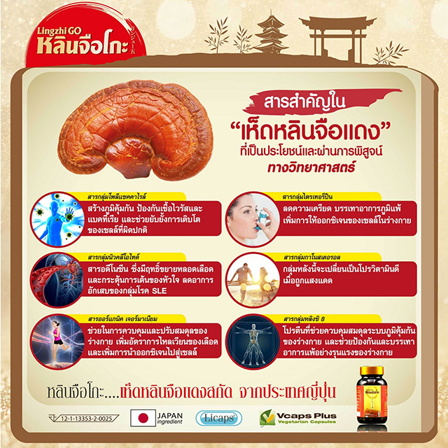 หลินจือโกะ LingzhiGO ตั๊ก มยุรา เห็ดหลินจือแดงสกัด