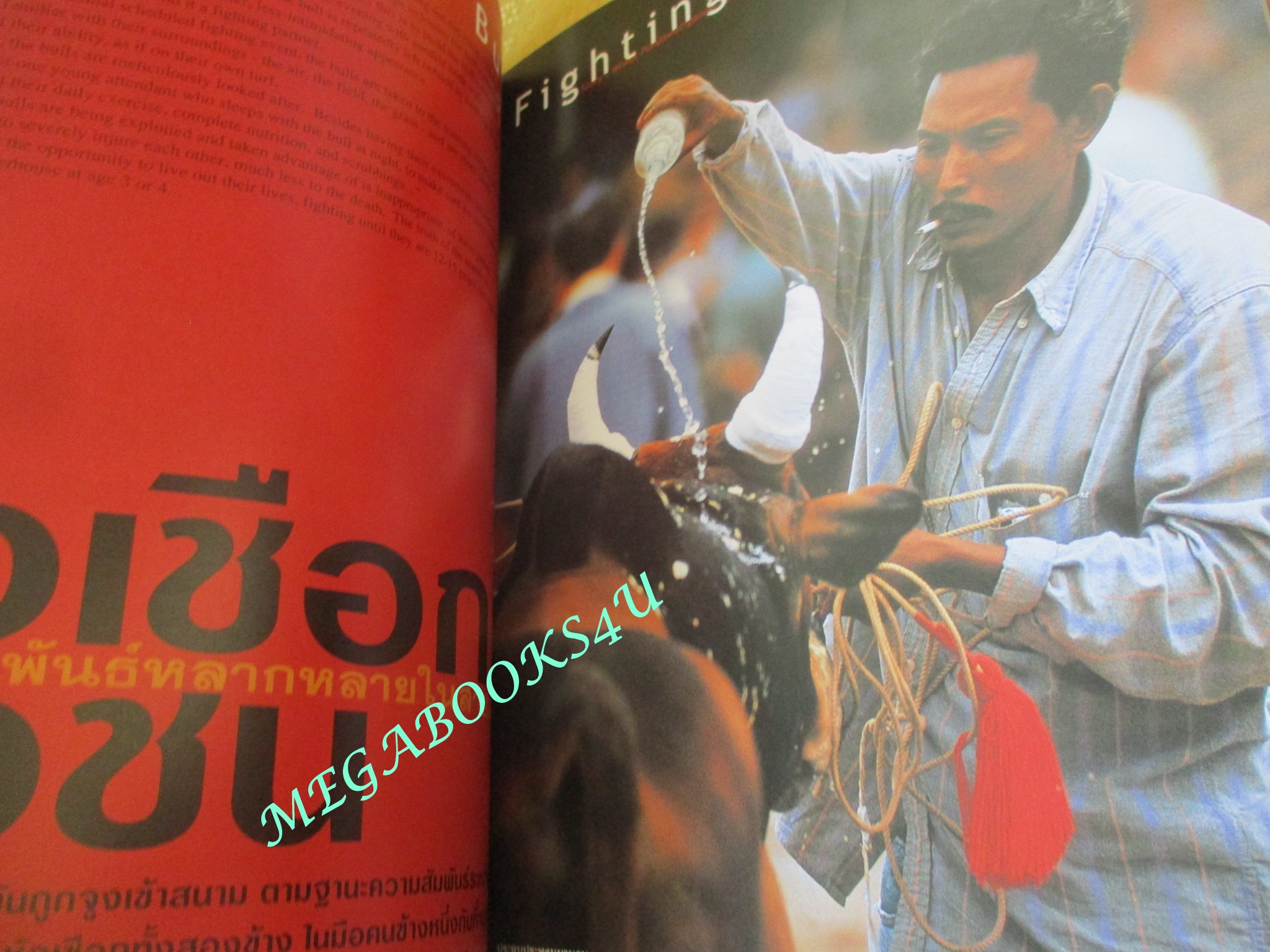 นิตยสารสารคดี ฉบับที่189 พ.ย 2543,หัวเชือกวัวชน,โรงไฟฟ้าประจวบ,72ปีประยูร อุลุชาฎะ, สภาพดี